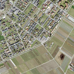 Saillon map(satellite map)