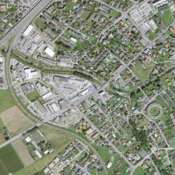 Camorino map(satellite map)