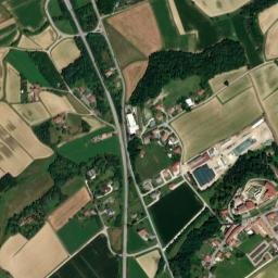 Colloredo di Monte Albano map(satellite map)