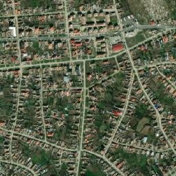 Pecica map(satellite map)