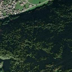Cedrasco map(satellite map)