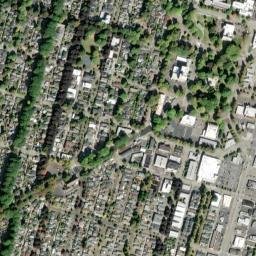 Longview map(satellite map)