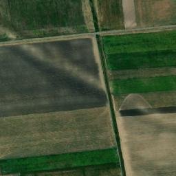 Beba Veche map(satellite map)
