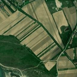 Homocea map(satellite map)