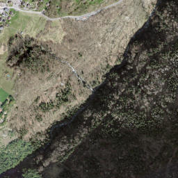 Salvan map(satellite map)