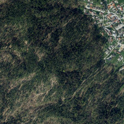 Šentvid District map(satellite map)
