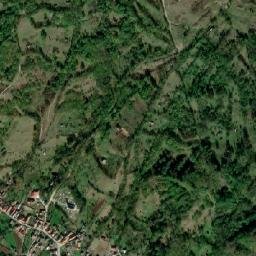 Feneș map(satellite map)
