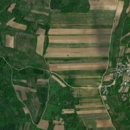 Tănăsoaia map(satellite map)