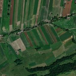 Băţanii Mari map(satellite map)
