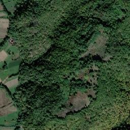 Comuna Petriş map(satellite map)