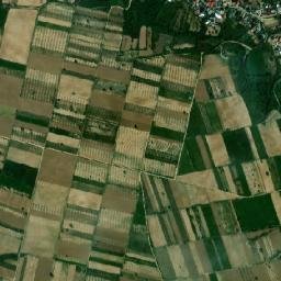 Rugineşti map(satellite map)