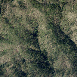 Dobrova map(satellite map)