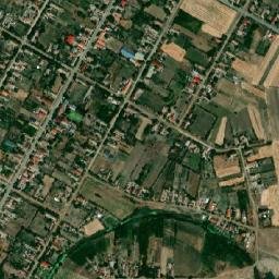Dudeştii Vechi map(satellite map)