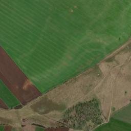Şagu map(satellite map)