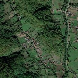 Petriş map(satellite map)