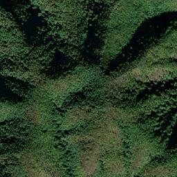 Comuna Zam map(satellite map)