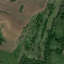 Şeica Mică map(satellite map)