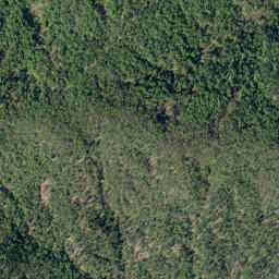 Brezovica pri Ljubljani map(satellite map)
