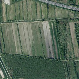 Trnovo District map(satellite map)