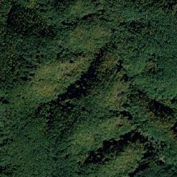 Comuna Săvârşin map(satellite map)
