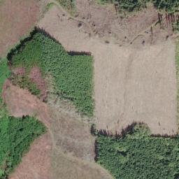Clatsop County map(satellite map)