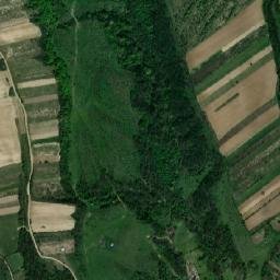 Răcoasa map(satellite map)