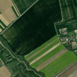 Buciumeni map(satellite map)