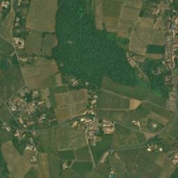 Cogny map(satellite map)