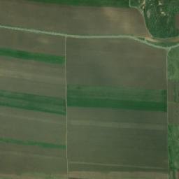 Drăguşeni map(satellite map)
