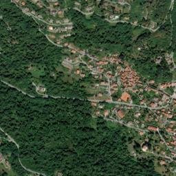 Bee map(satellite map)