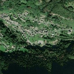 Roncobello map(satellite map)