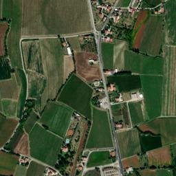 Rosa map(satellite map)