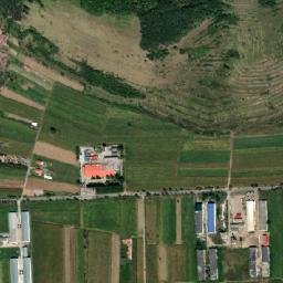 Şoimuş map(satellite map)