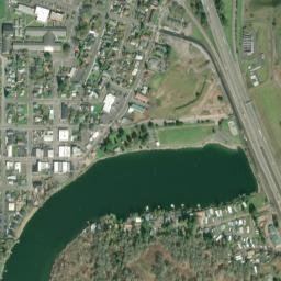 Woodland map(satellite map)