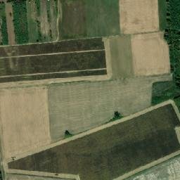 Sellyei Járás map(satellite map)