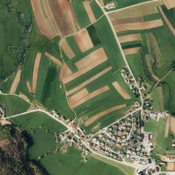 Mirna Peč map(satellite map)