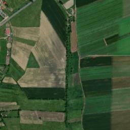 Moacşa map(satellite map)