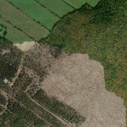Saint-Rémi-de-Tingwick map(satellite map)