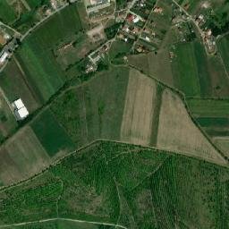 Comuna Şura Mare map(satellite map)