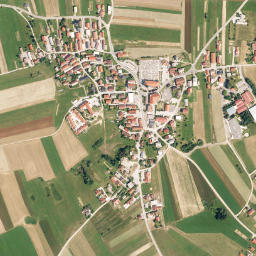 Videm map(satellite map)