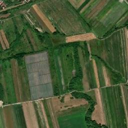 Făget map(satellite map)