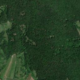 Cârjiţi map(satellite map)