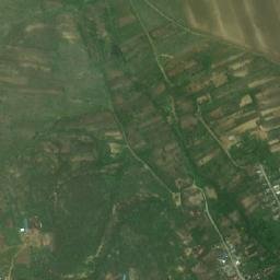 Vlădeşti map(satellite map)