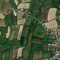 Gruaro-Bagnara map(satellite map)