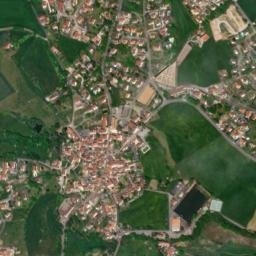 Savigny map(satellite map)