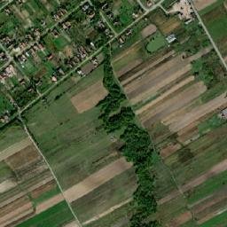 Comuna Dumbrava map(satellite map)