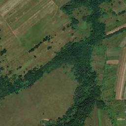 Curtea map(satellite map)