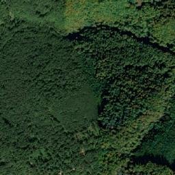 Comuna Pietroasa map(satellite map)