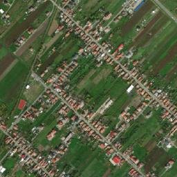 Giarmata-Vii map(satellite map)