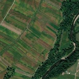 Băcia map(satellite map)